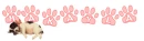 puppy with name makayla