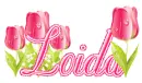 tulips loida