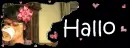 hallo
