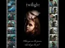 Bella & Edward