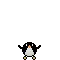 penguin dancing