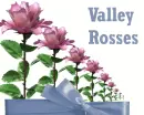 Valley
