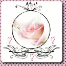 Motif