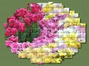 Pussel Flowers 