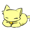Cute kitty
