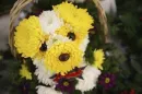 puppy bouquet 1