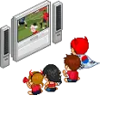 Soccer  fan