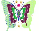 Batterfly