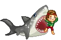 shark 