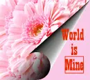 World