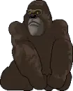 Gorilla 