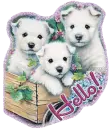 Hello!