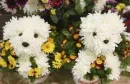 puppy bouquet 2
