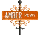 orange street sign amber PKWY