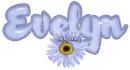 Evelyn