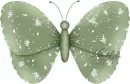 Buttefly