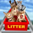cats on a rollor coaster