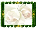Viev