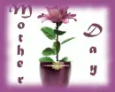 Mother's