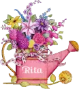 Sprinkling Can Floral - Rita