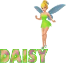 Daisy