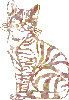 Golden Kat