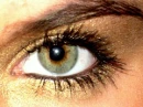 Eye