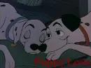 puppy love