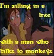 monkeys
