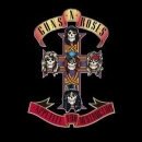 guns and roses