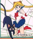 sailor moon and luna