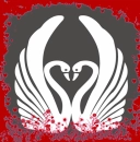 swan