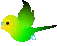 parrot flying