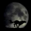 running wolf