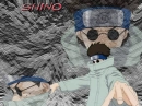 Shino