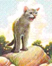 Bluestar