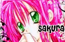 Sakura 