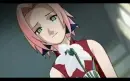 Sakura flower
