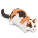 calico cat