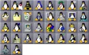 penguins