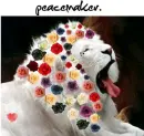 peace