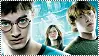 harry ginny ron