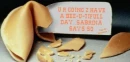 Fortune Cookie