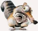 animal 