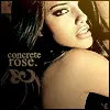 Adriana Lima-concrete rose.
