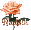 orange rose nadeth