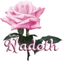 pink rose nadeth