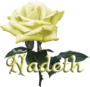 yellow rose nadeth