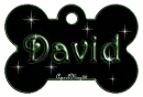 green dog bone tag stars david