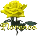 yellow rose florence